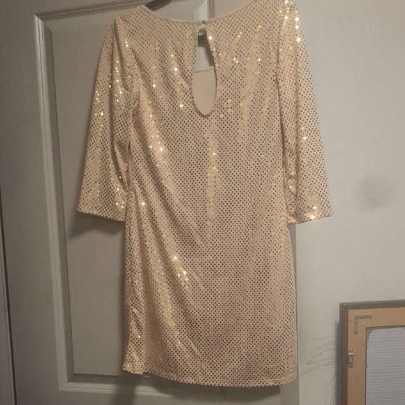 Express Elegant Sequin Dress in Cream - Picture 3 of 6
